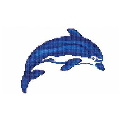 hd006