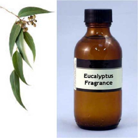 100mL-bottle-eucalyptus-std.jpg
